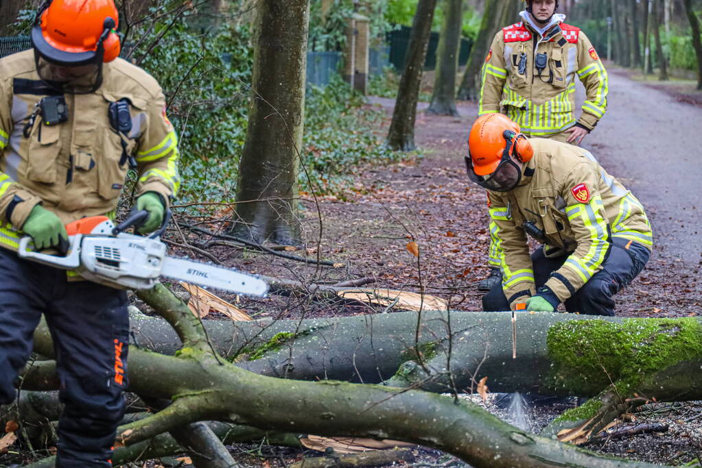Omgewaaide boom verspert weg