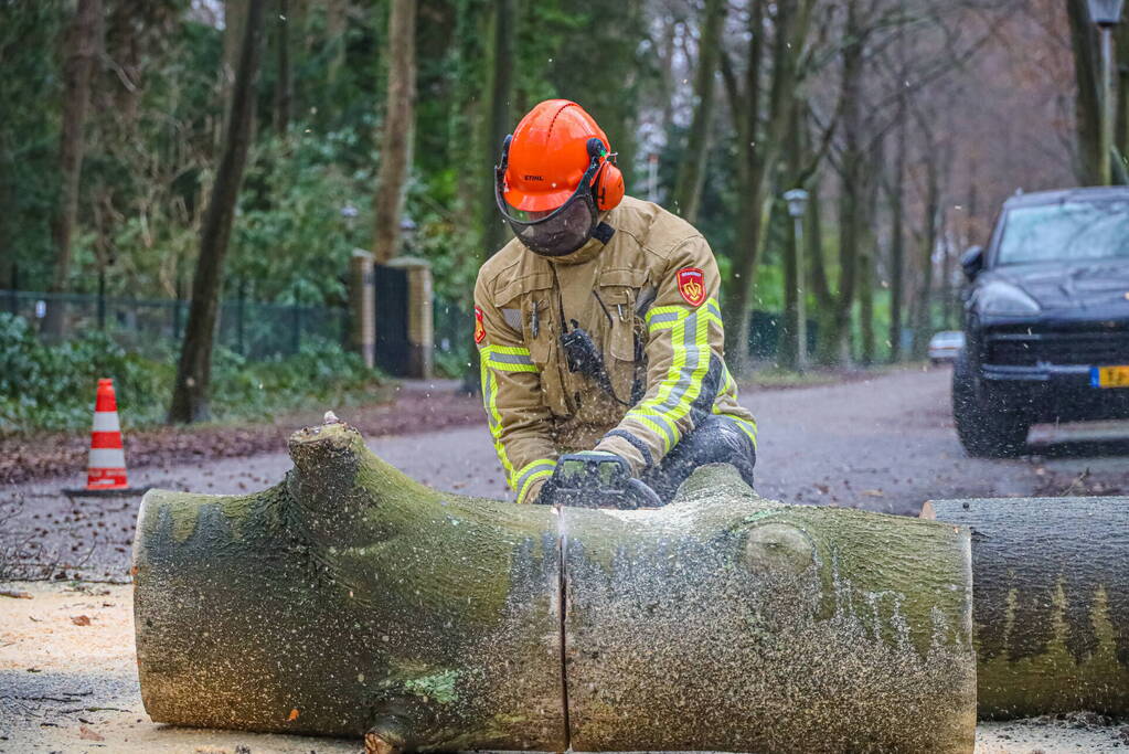 Omgewaaide boom verspert weg