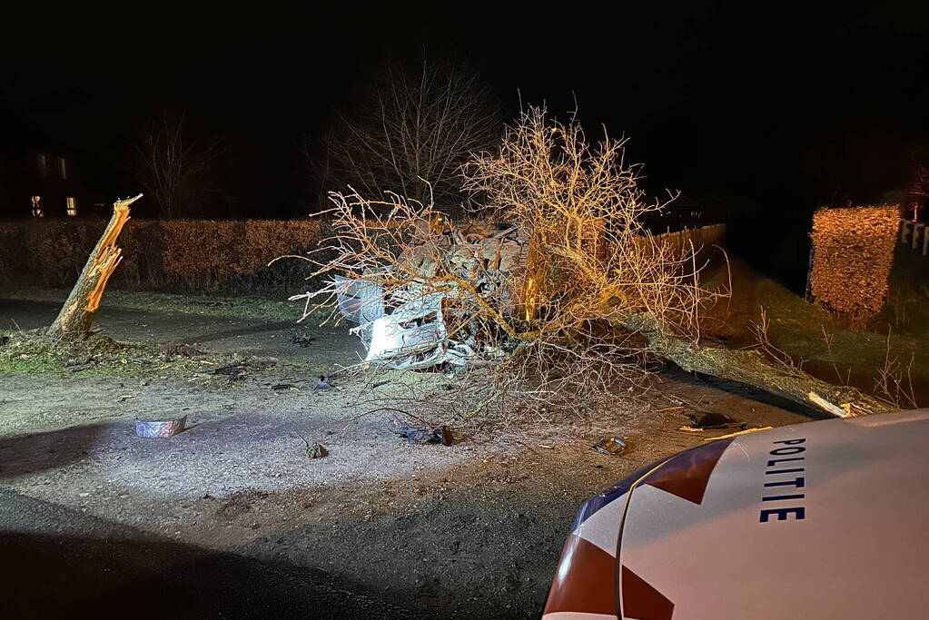 Bestuurder gewond na eenzijdige aanrijding met boom