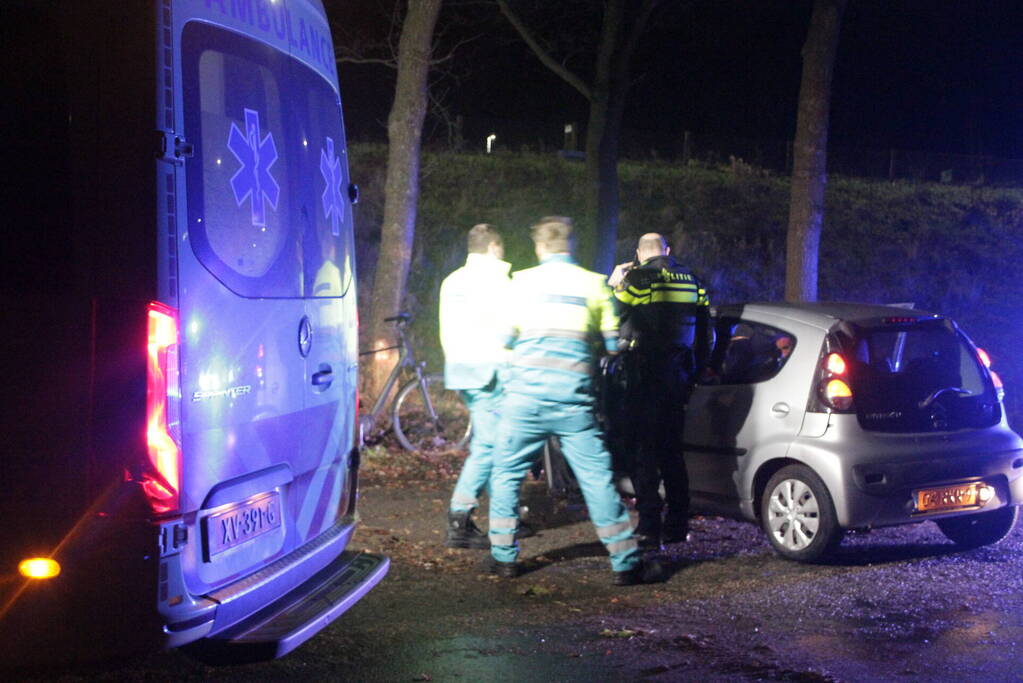 Auto raakt boom na uit de bocht vliegen