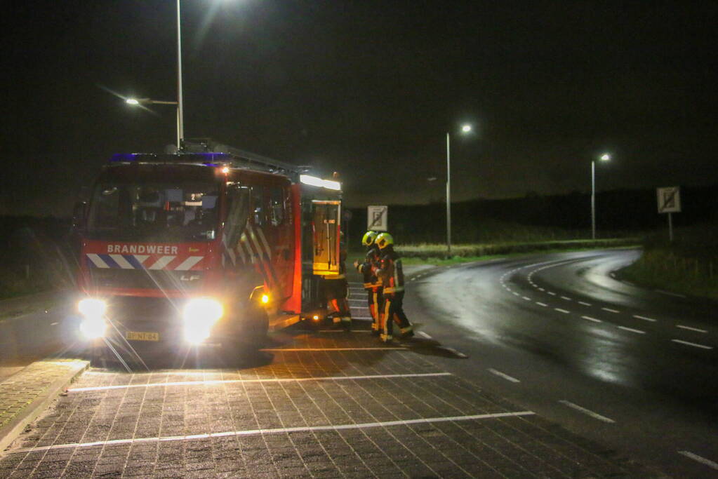 Meerdere kerstbomen in brand gestoken in duingebied