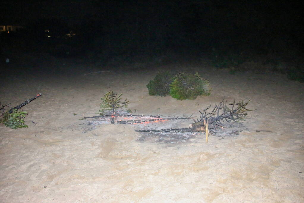 Meerdere kerstbomen in brand gestoken in duingebied