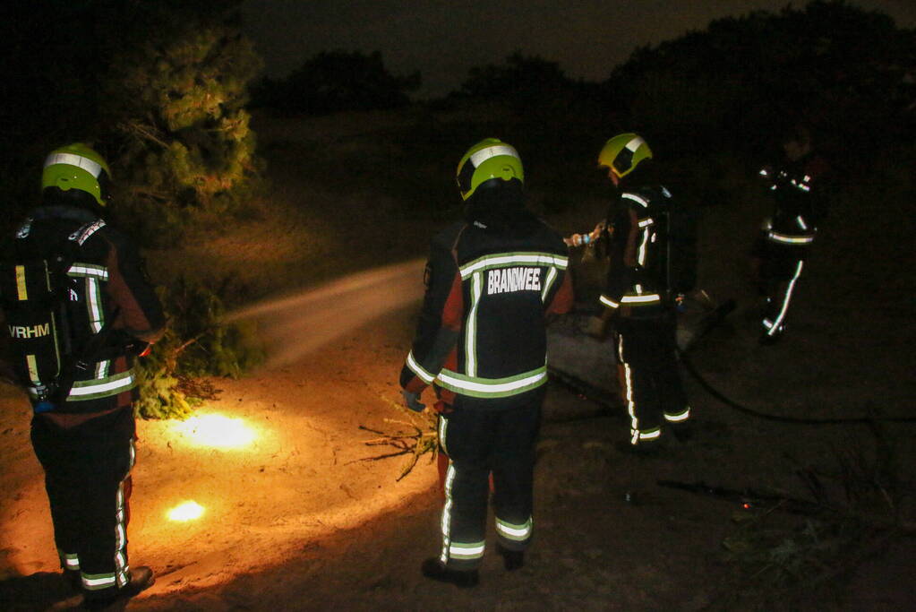 Meerdere kerstbomen in brand gestoken in duingebied