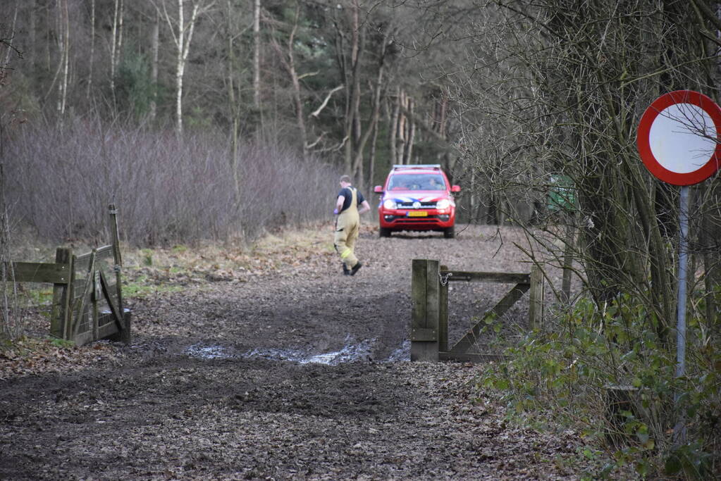 Ruiter ten val in bosgebied