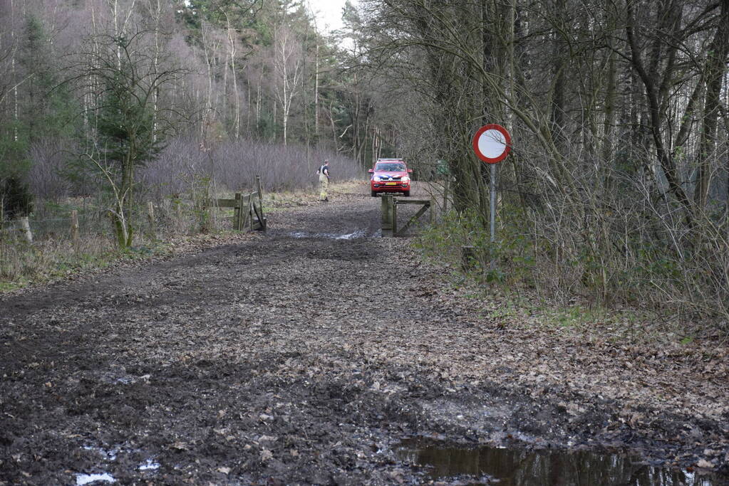 Ruiter ten val in bosgebied