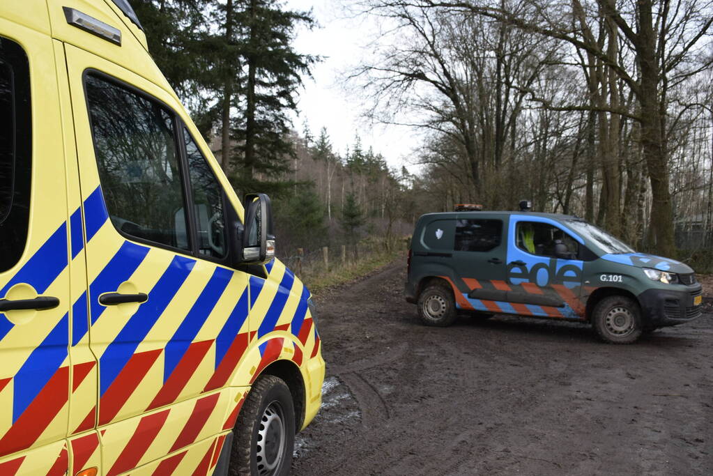 Ruiter ten val in bosgebied