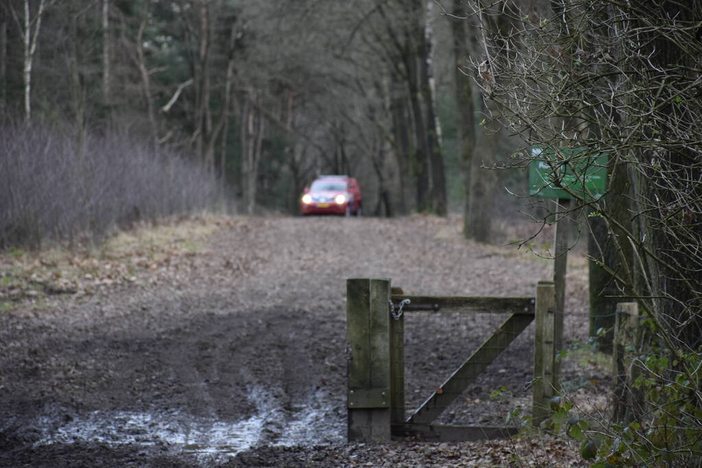 Ruiter ten val in bosgebied