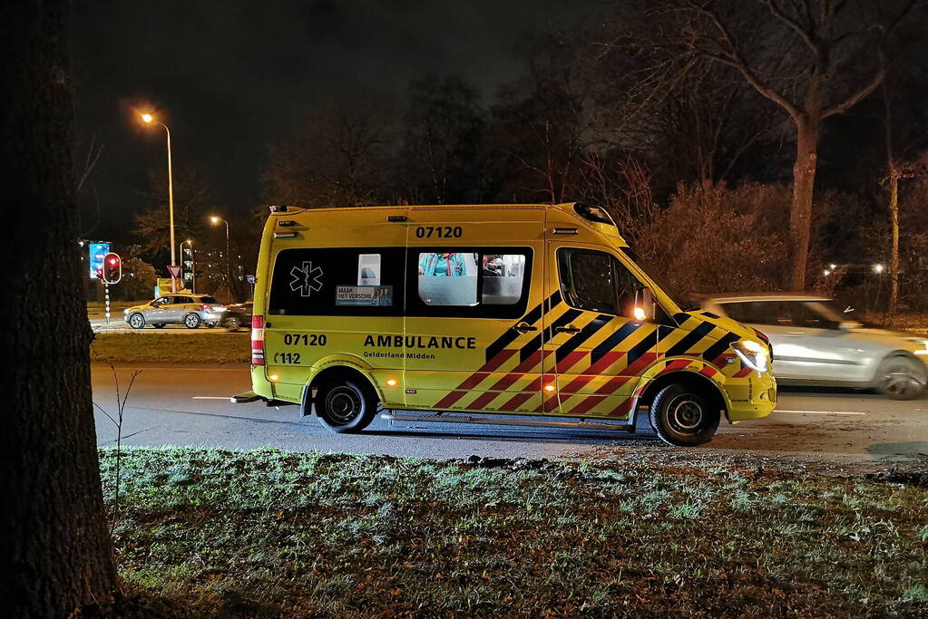 Auto raakt van weg en ramt boom