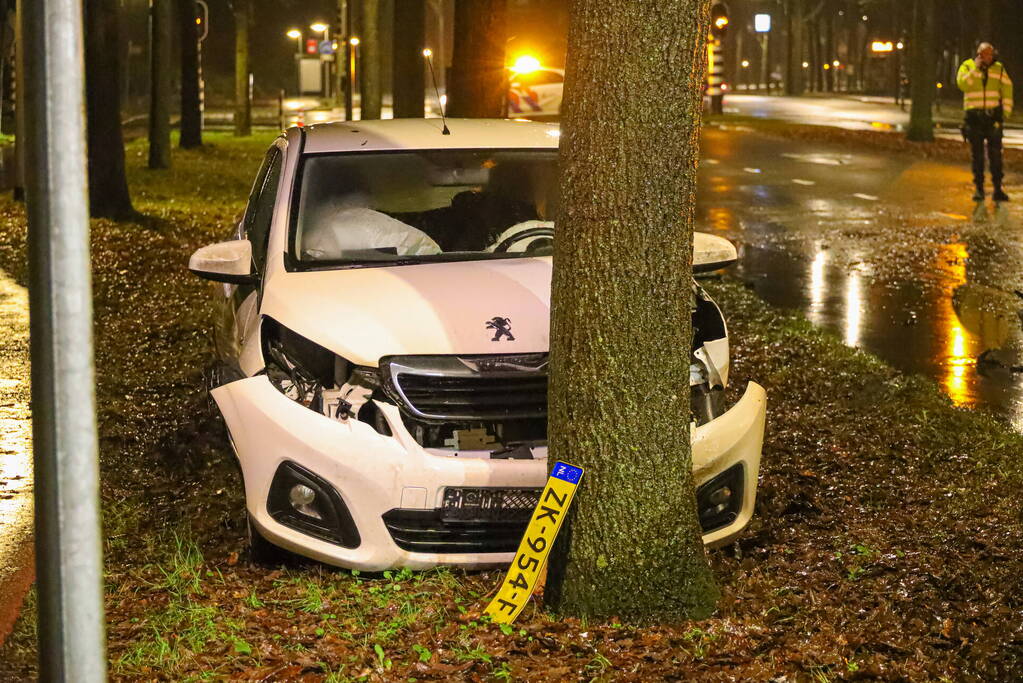 Flinke schade na botsing tegen boom