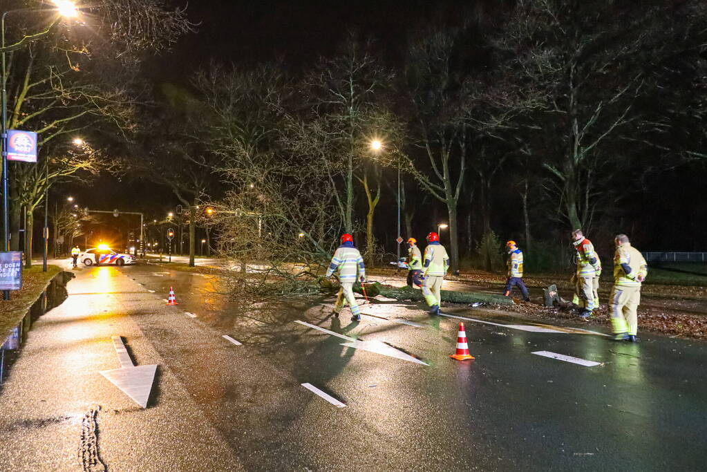 Flinke schade na botsing tegen boom