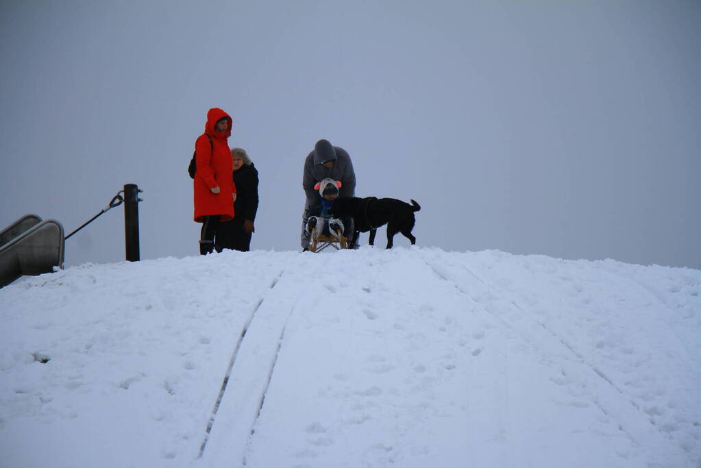 Winters weer zorgt voor sneeuwpret in Weert