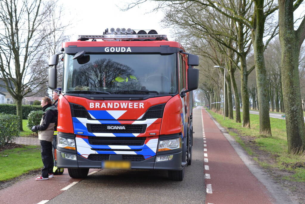 Brandweer redt schaap uit een sloot