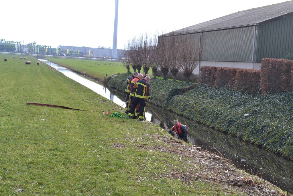Brandweer redt schaap uit een sloot