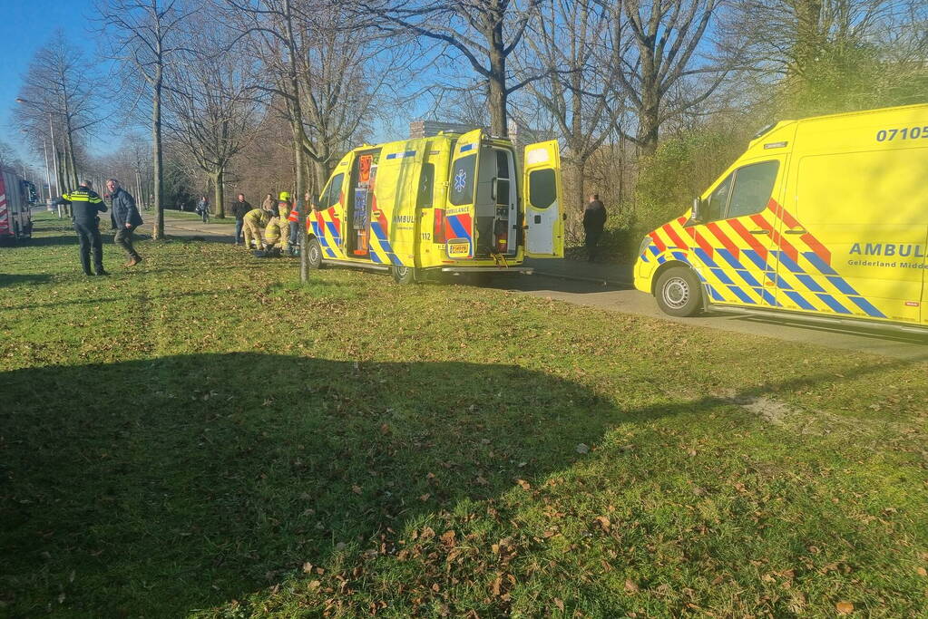 Auto raakt van de weg en botst tegen boom