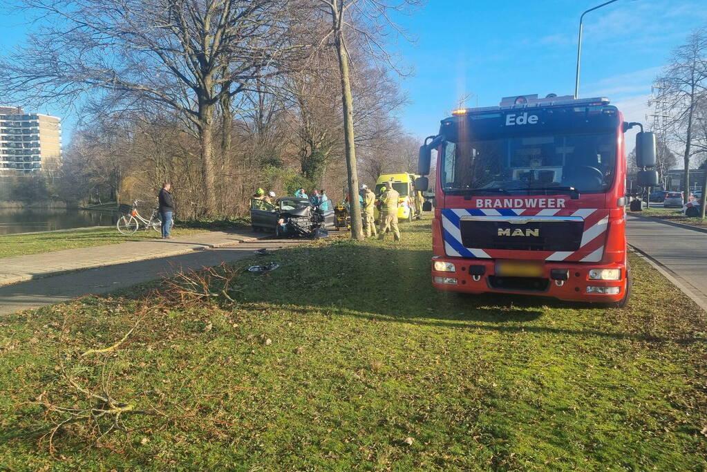 Auto raakt van de weg en botst tegen boom