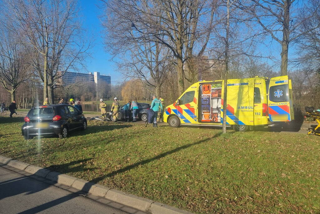 Auto raakt van de weg en botst tegen boom