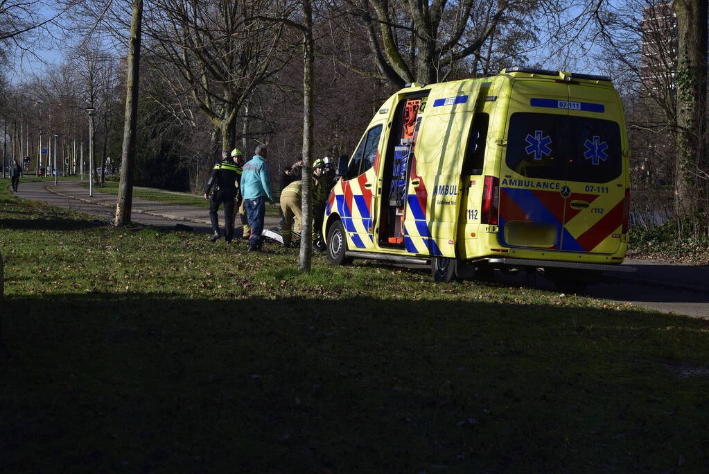 Auto raakt van de weg en botst tegen boom