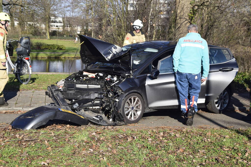 Auto raakt van de weg en botst tegen boom