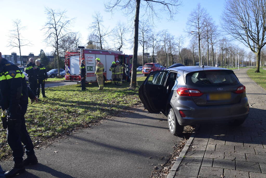 Auto raakt van de weg en botst tegen boom