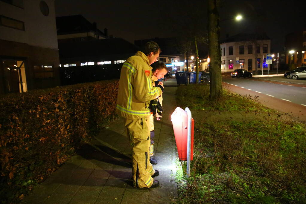 Prullenbakbrand vlot geblust