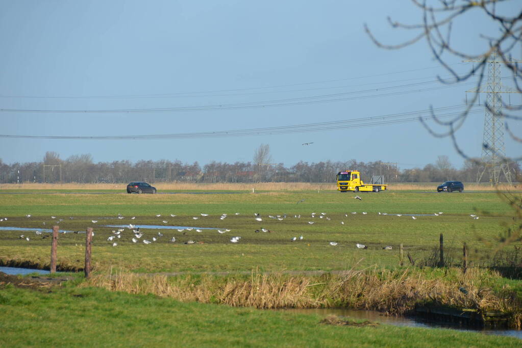 Paardentrailer gekanteld langs de weg