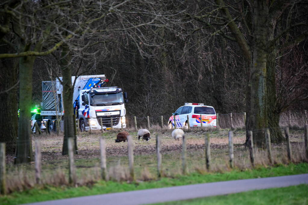 Groot onderzoek naar aantreffen overleden persoon in bos