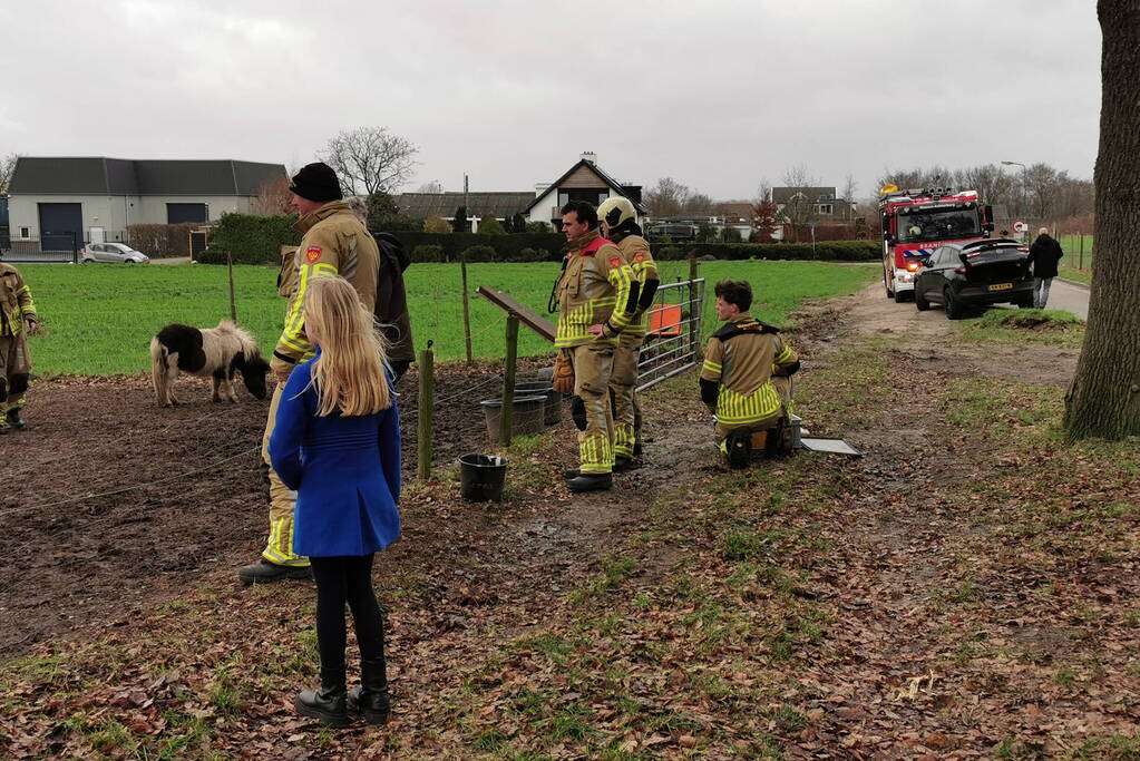 Vastzittende pony gered door brandweer