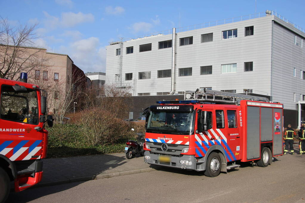 Kolf in laboratorium gebarsten