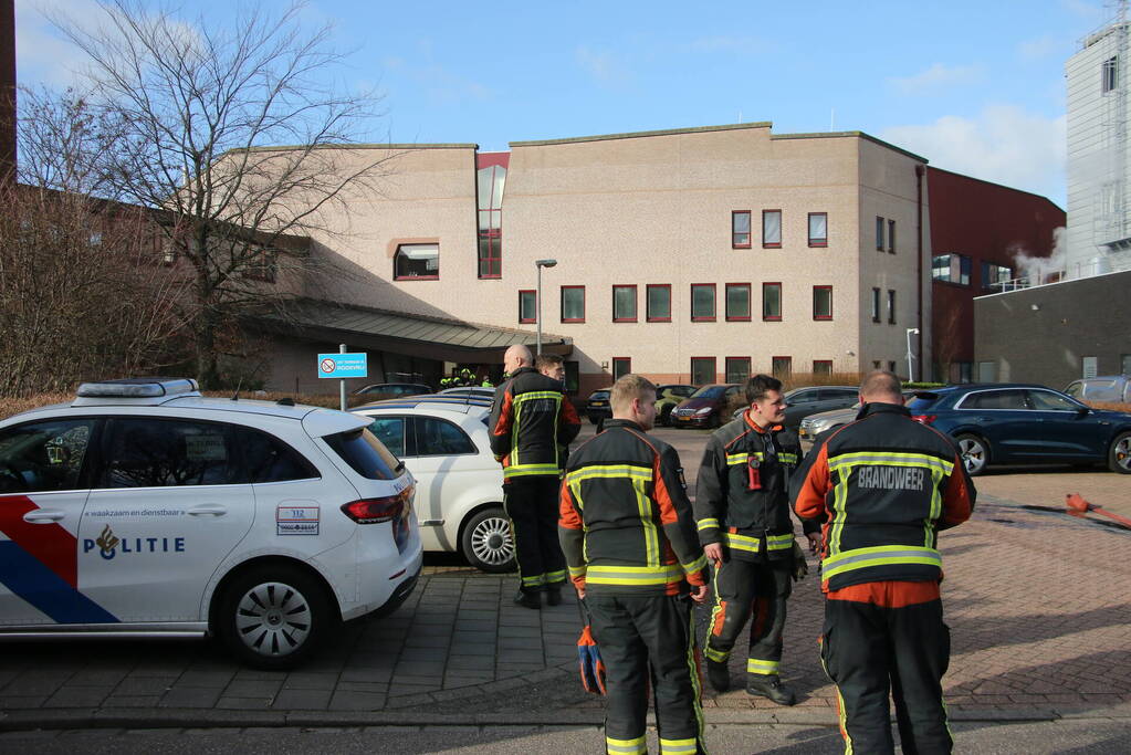 Kolf in laboratorium gebarsten