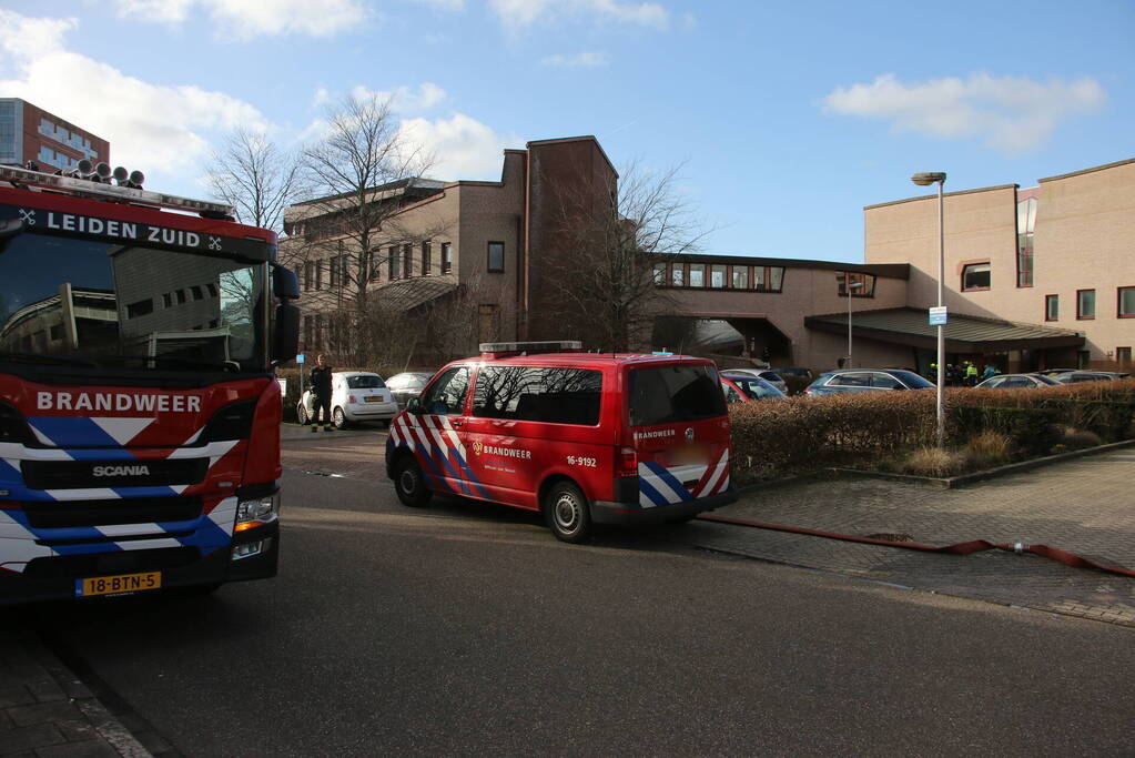 Kolf in laboratorium gebarsten