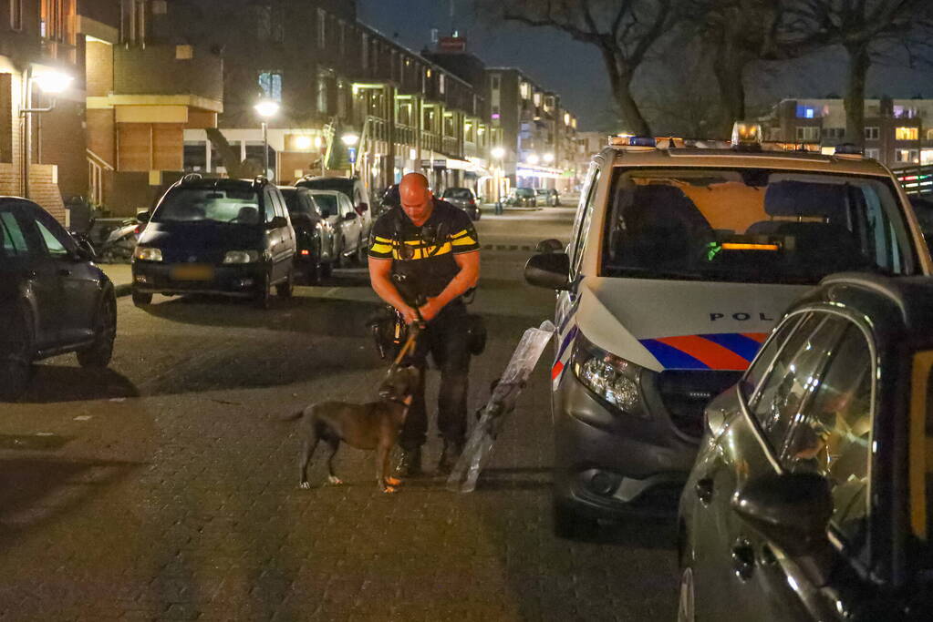 Agressieve hond valt kind aan