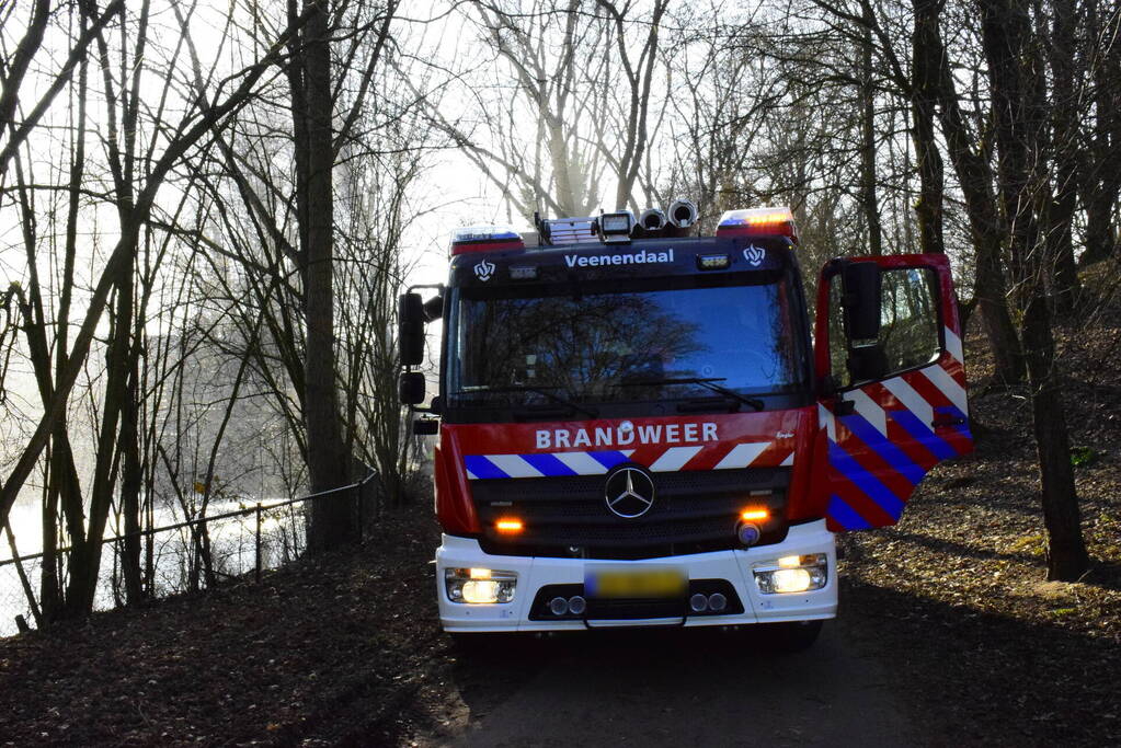 Brandweer probeert kat uit boom te spuiten