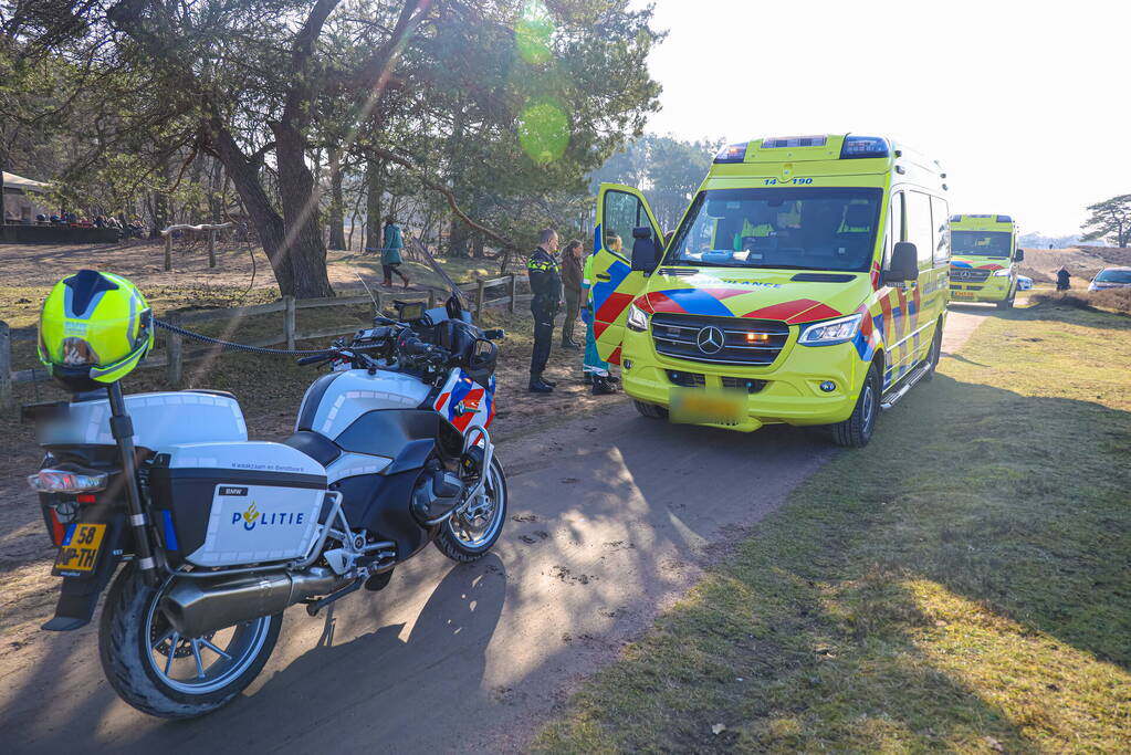 Man aangevallen door een koe