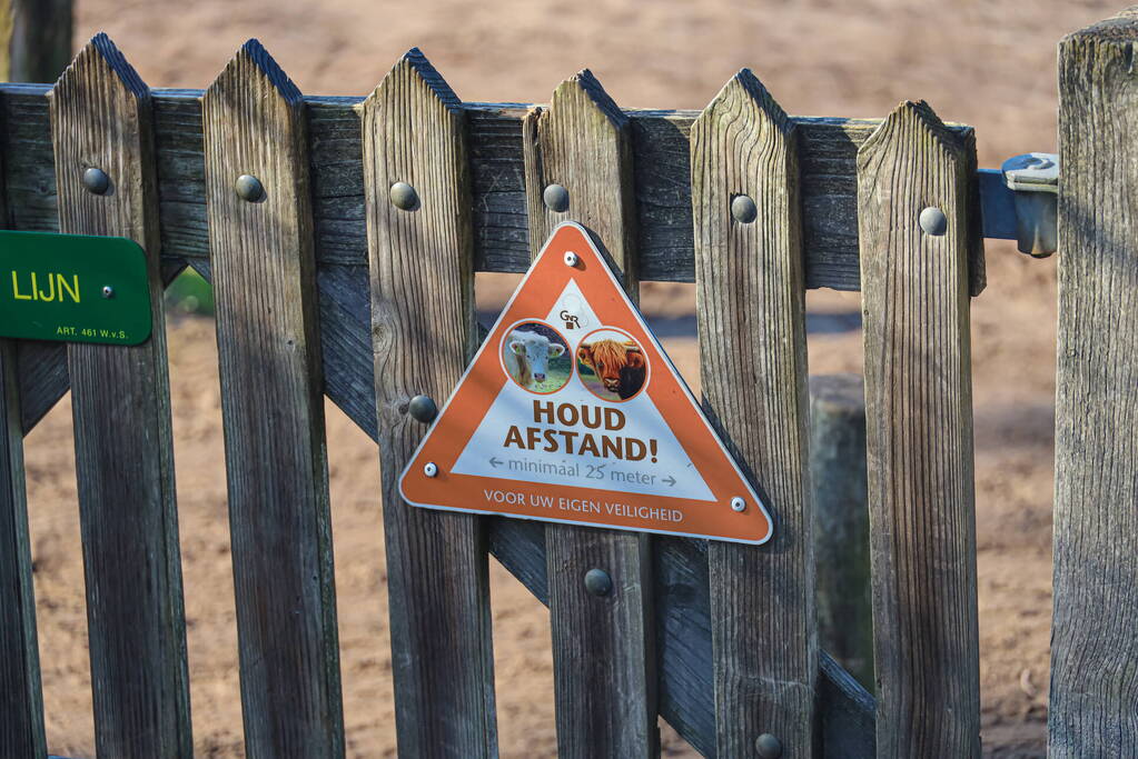 Man aangevallen door een koe