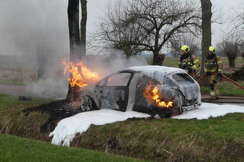 Auto vat vlam na frontale botsing tegen boom