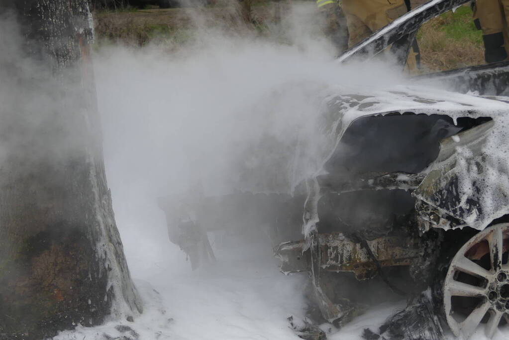 Auto vat vlam na frontale botsing tegen boom