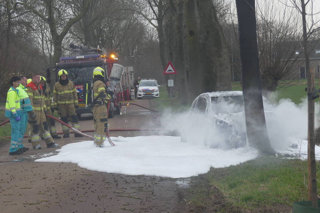 Auto vat vlam na frontale botsing tegen boom
