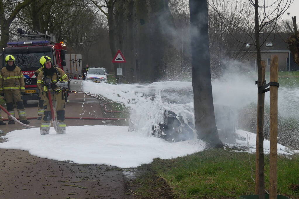 Auto vat vlam na frontale botsing tegen boom
