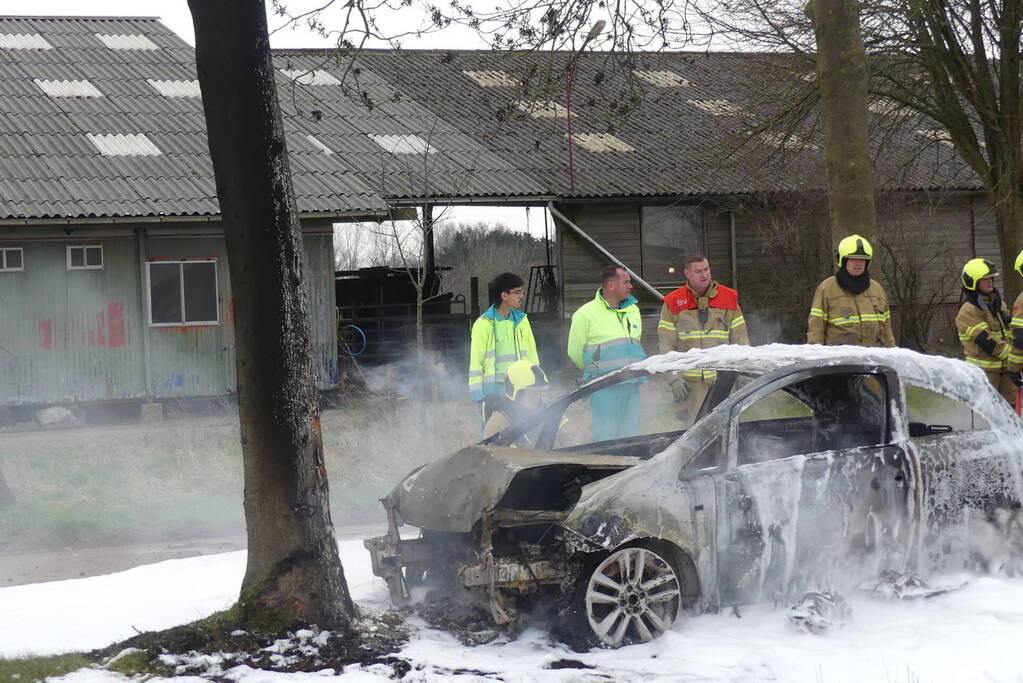 Auto vat vlam na frontale botsing tegen boom