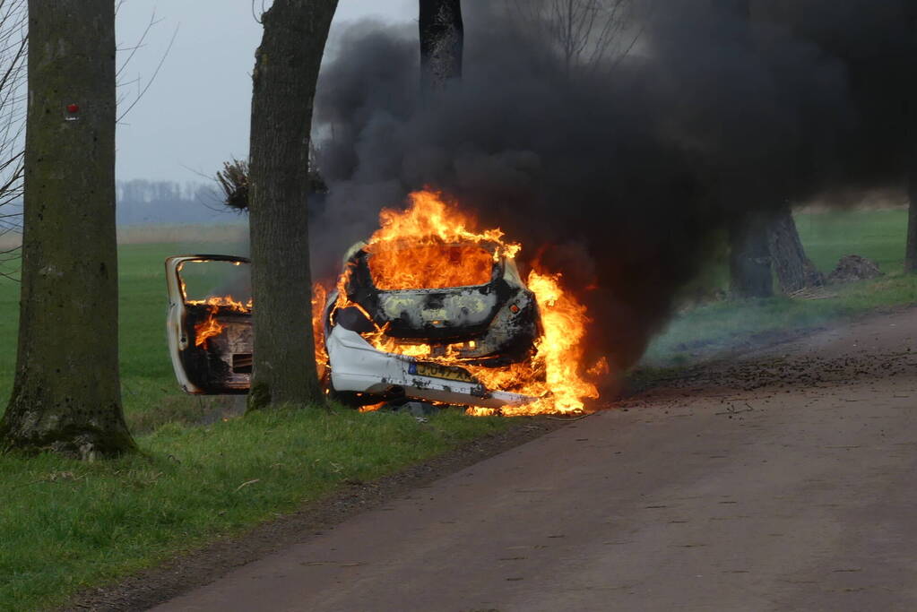Auto vat vlam na frontale botsing tegen boom