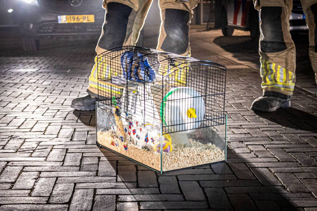 Grote brand bij pizzeria Porto Fino