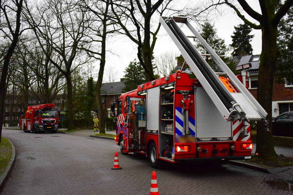 Brandweer redt kat uit boom