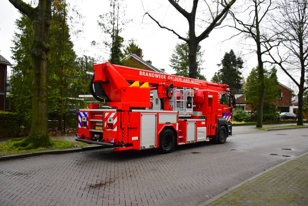 Brandweer redt kat uit boom