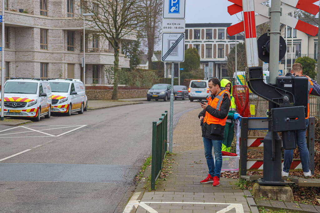 Vos aangereden door trein
