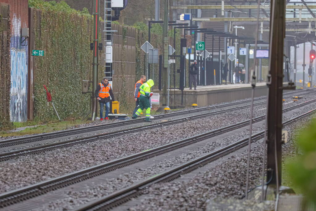 Vos aangereden door trein