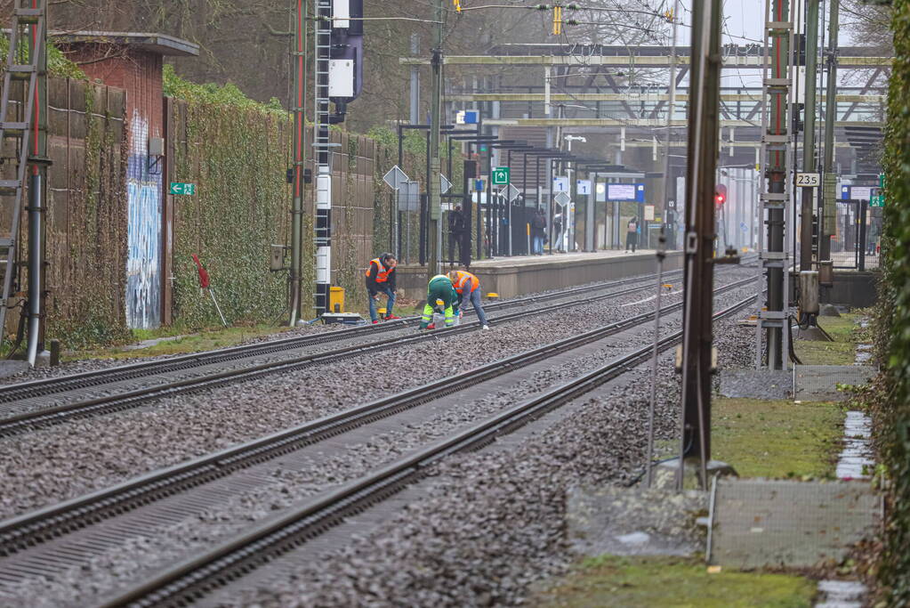 Vos aangereden door trein