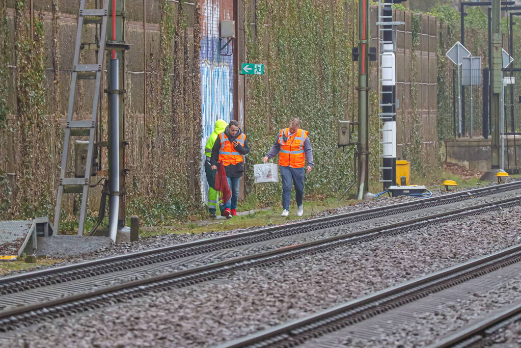 Vos aangereden door trein