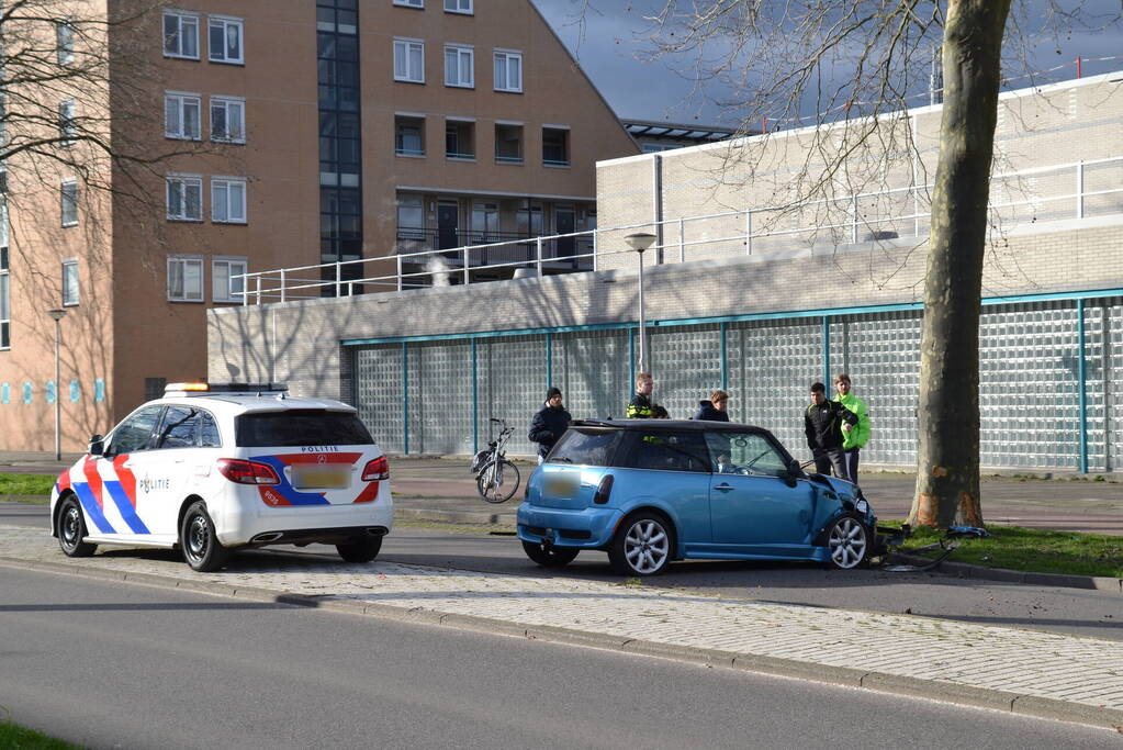 Automobilist eindigt tegen boom