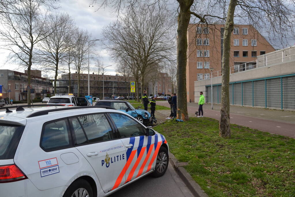 Automobilist eindigt tegen boom