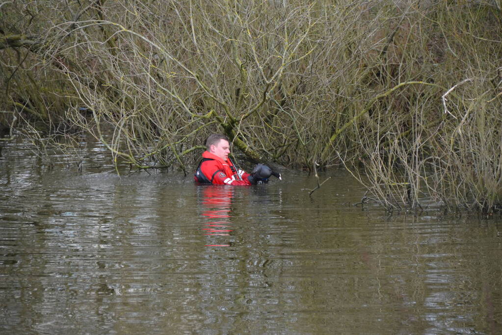Meerkoet raakt verstrikt en wordt gered door brandweer